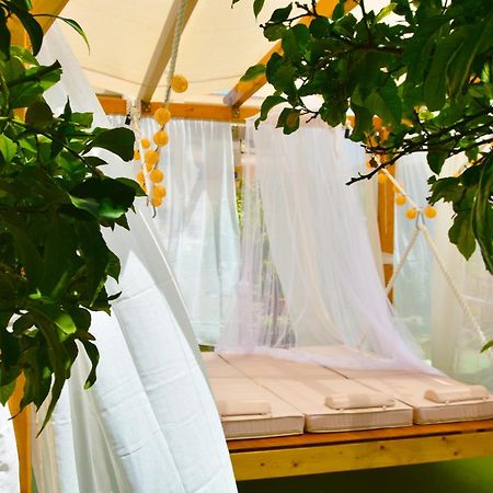Converted Shed Studio & Garden Hanging Bed Pórto Ráfti Exteriér fotografie